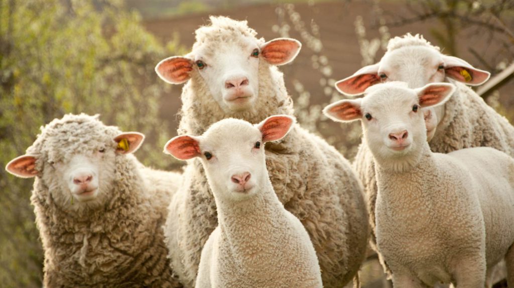 發現賭博平台有&ldquo;特殊漏洞&rdquo;，他&ldquo;薅羊毛&rdquo;獲利3000萬